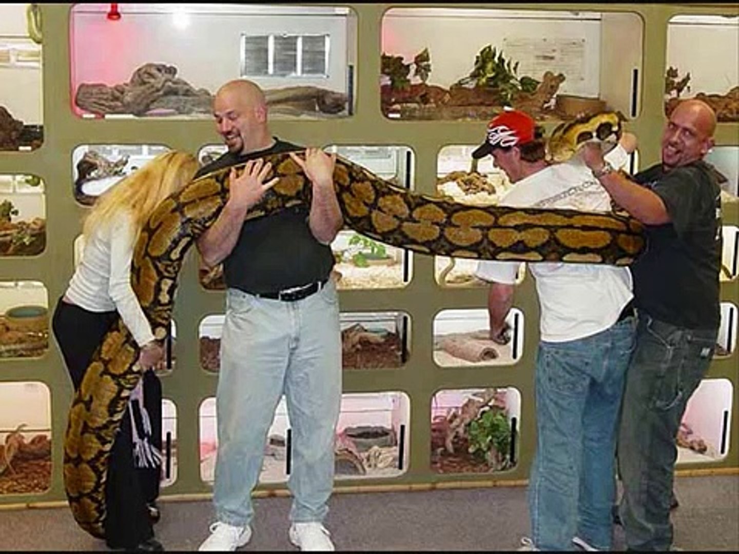 Big Big Snakes!!!