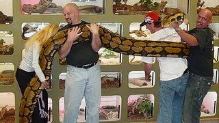 Big Big Snakes!!!