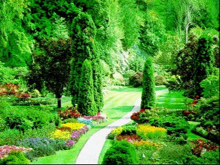 best of mourad khalouat.