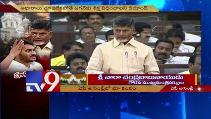 YS Jagan blocks AP Capital formation - Chandrababu