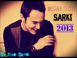 Mustafa Ceceli Sarki Remix (2013)