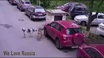 We Love Russia 2015 Russian Fail Compilation #54 Funniest Russian moment