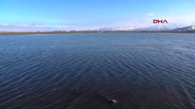 Muş-Havalar Isındı Kar Eridi, Nehirler Taştı