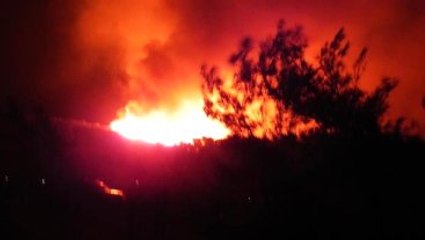 Marmaris'teki Yangında 50 Hektar Kızılçam Ormanı Kül Oldu