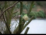 WALKERWOOD TROUT FISHERY