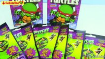 Teenage Mutant Ninja Turtles Action Vinyls, Dog Tags, and Mashems