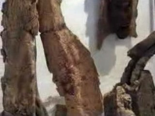 Atelier François Pous