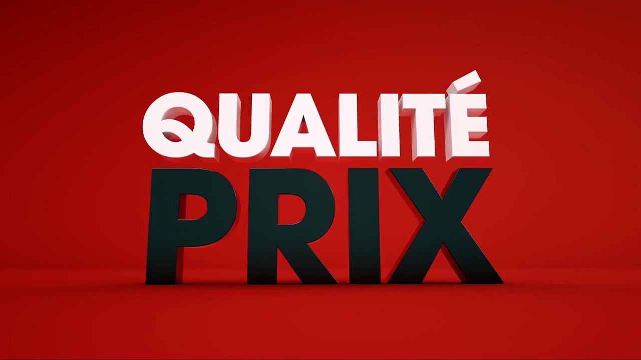 Les Gros Mots pour Brico Dépôt - «L'essentiel en deux mots: qualité et prix» - mars 2016