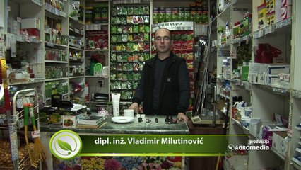 Vodič za uspešno kalemljenje biljaka_441_27.02.2016.