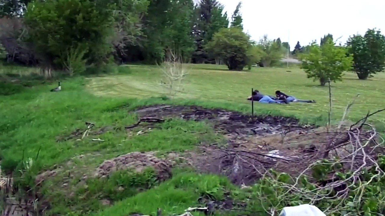 Why You Should Never Mess With Geese