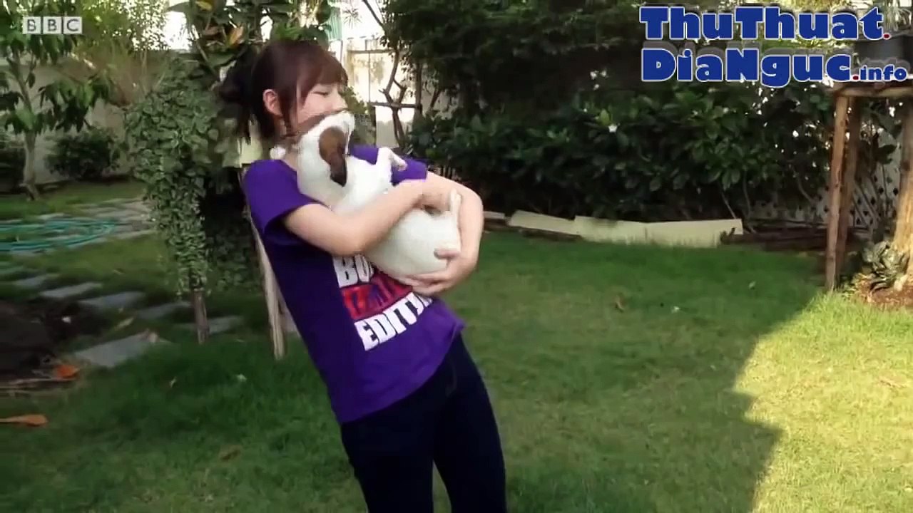 Hot girl Thái Lan Cover nhạc Việt đỉnh cao