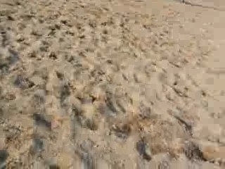 Chute de cheval avec bounty