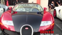Mayweather's line up of cars including his new Koenigsegg CCXR Trevita