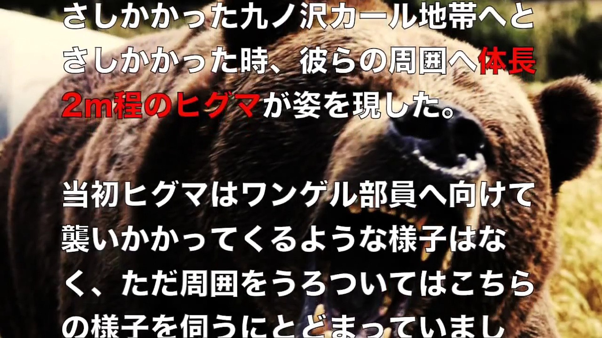 閲覧注意 熊に喰われる 福岡大ワンダーフォーゲル部羆襲撃事件 アンビリーバボー Dailymotion Video