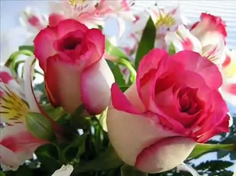 поздравления с днем рождения - РОЗЫ!