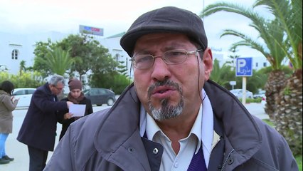 La Tunisie en guerre contre un insecte tueur de palmiers