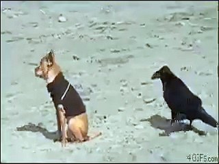 This is too funny and cute hahaha...