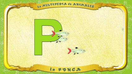 la Multipedia de animales. Letra P la Ponca