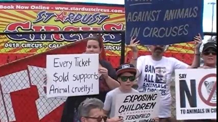 Animal LIberation Qld protest against Stardust Circus