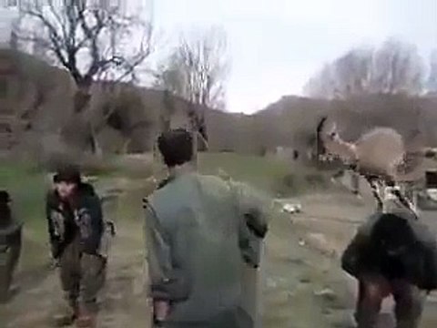 Une chèvre joue à saute-moutons. WTF