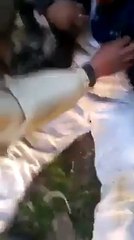 عندما وقع أحد الإرهابيين في يد جنود الجيش التونسي ..!