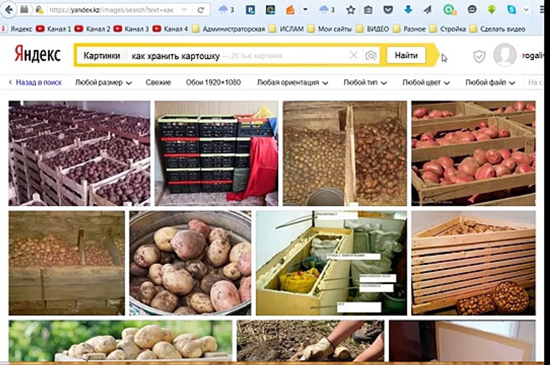 Как хранить картошку. Хранение картофеля