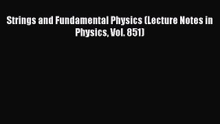 Download Strings and Fundamental Physics (Lecture Notes in Physics Vol. 851) Ebook Online
