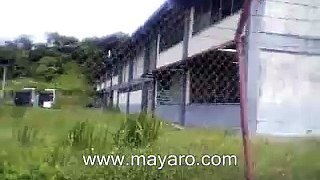 Gauyaguayare RC Primary School