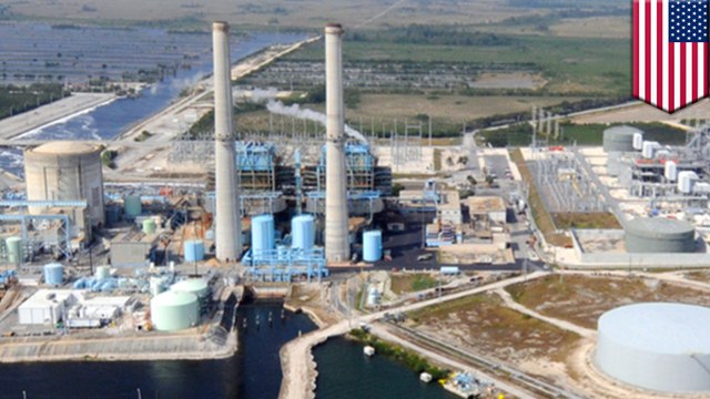 Miami's nuclear power plant is leaking radioactive material into the ocean