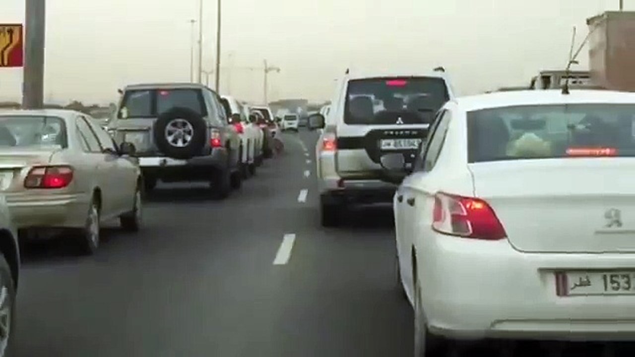 Tiger on the road