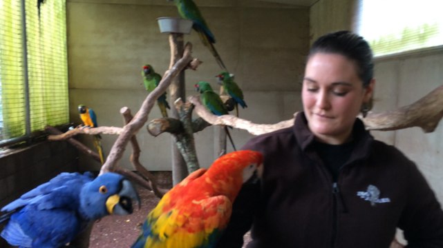 Lucile soigne les animaux au zoo de Jurques