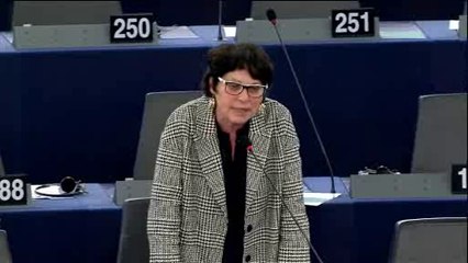 Michèle Rivasi: "il faut réviser la directive de 1985 sur les produits défectueux"