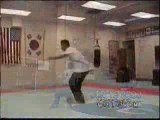 Martial Arts - Hapkido & Taekwondo