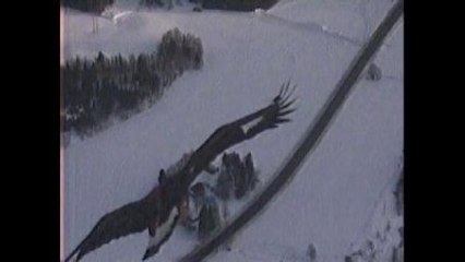 Norveç Kartalı NATO Dronunu Düşürdü