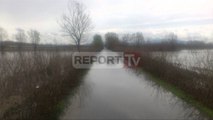 Report TV - Reshjet rikthejnë përmbytjet në Shkodër, 700 hektarë tokë nën ujë