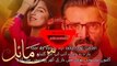 Mann Mayal OST Lyrics urdu punjabi english subtitle Complete Song l Hamza Ali, Maya Ali l Hum TV