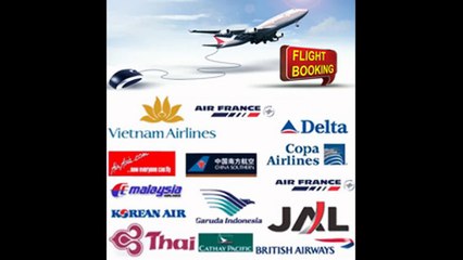 Macau Local Tour Guides Limo Bus Rentals