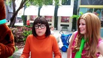 Scooby-Doo, Shaggy, Velma And Daphne Meet & Greet @ Universal Studios Orlando