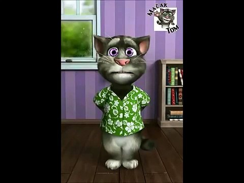 Lagala je grade Sasa Matic (Macak Tom)