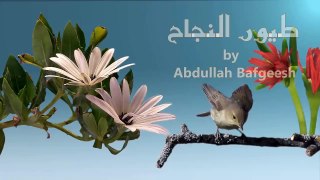 Bird of success  (طيور النجاح )- Arabic Nasheed