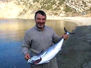 Gelibolu-saroz-kömür limanı-orkinos