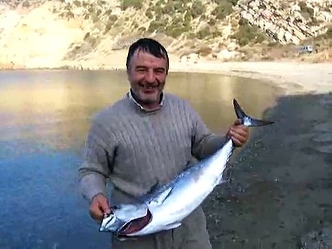 Gelibolu-saroz-kömür limanı-orkinos