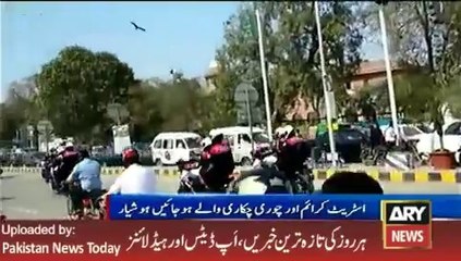 Dolphens on Lahore Roads - 10 March 2016