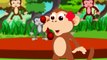 Five Little Monkeys | English Nursery Rhymes | Five Little Monkeys Rhymes HD