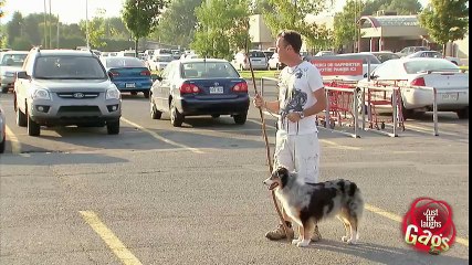 Parking Lot Shepherd Prank - Just For Laughs Gags