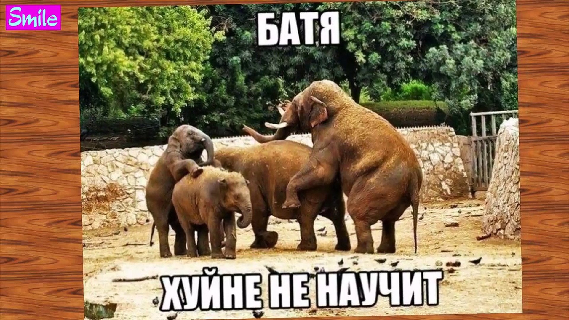 Приколы 2015 года ФОТО ПРИКОЛЫ
