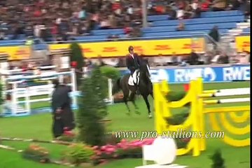 Show Jumping - I'd Do Anything (for horsiegals contest)14th!