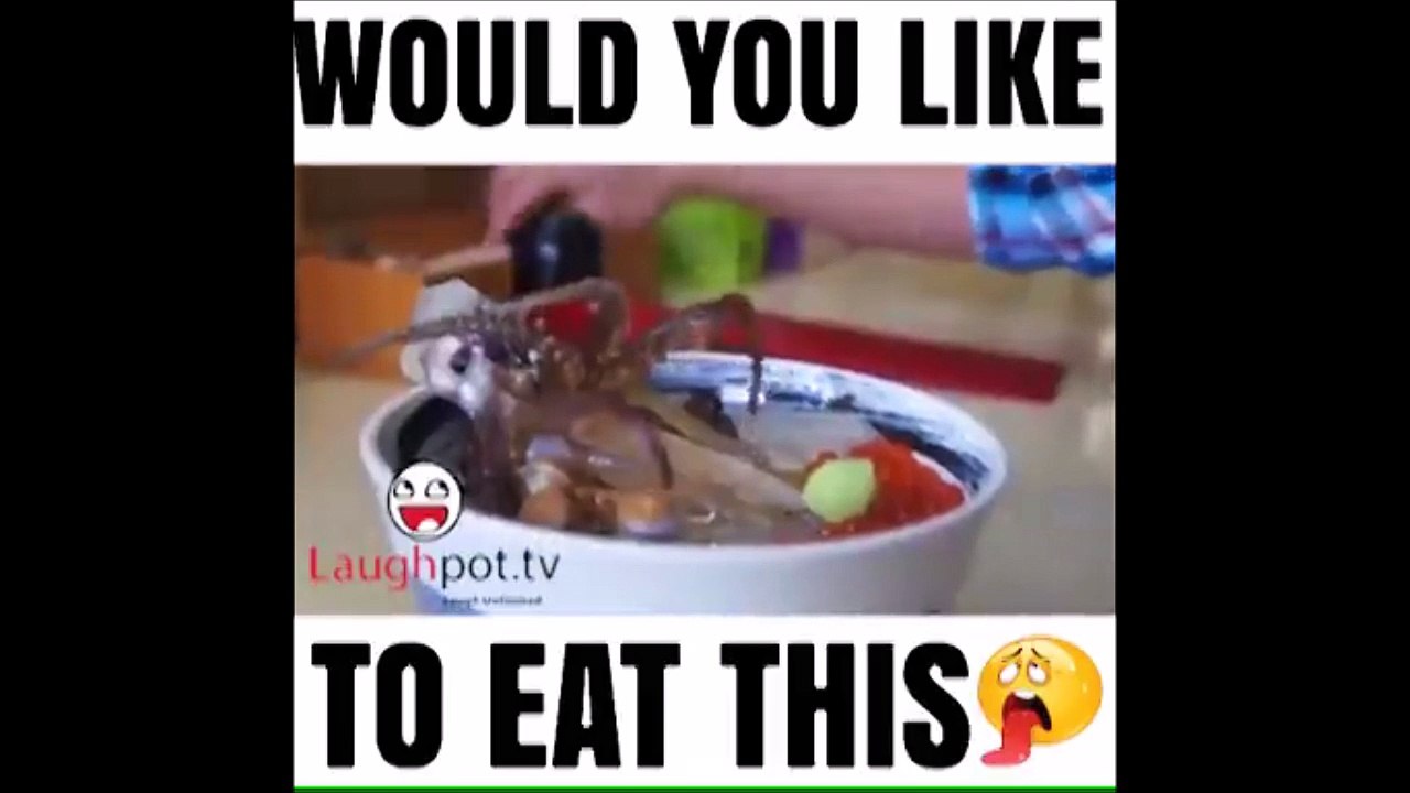 Chines special famous dish would you like to eat