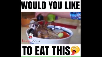 Chines special famous dish would you like to eat