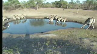 Tue Oct 24th 06 6 AM Africam